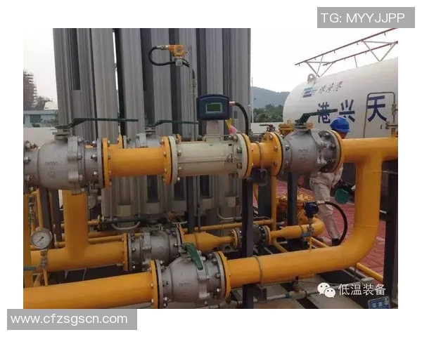 区域防守策略解析：液化天然气市场的应对之道与发展趋势